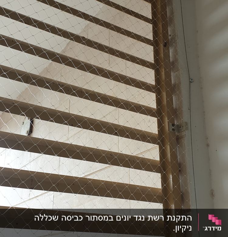 רשת מתכת מותקנת על חלון למניעת כניסת יונים